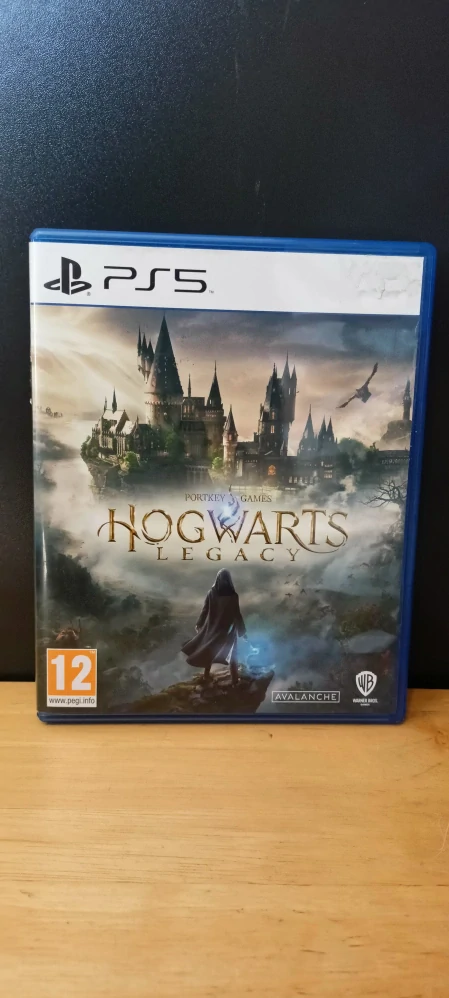 Hogwarts Legacy PS5